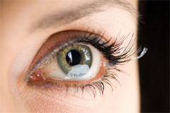 26 ��� ���� ����� ������ - ����� ��� �����