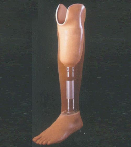 ��� ������