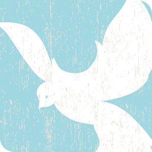 ������ ���� - ����� ����